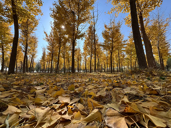 这里是旅游业分类的标题，可以加文字80000542