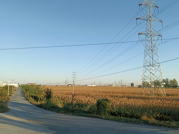 这里是教育业分类的标题，可以加文字104512927