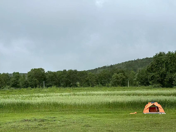 这里是旅游业分类的标题，可以加文字525472114